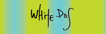white dog